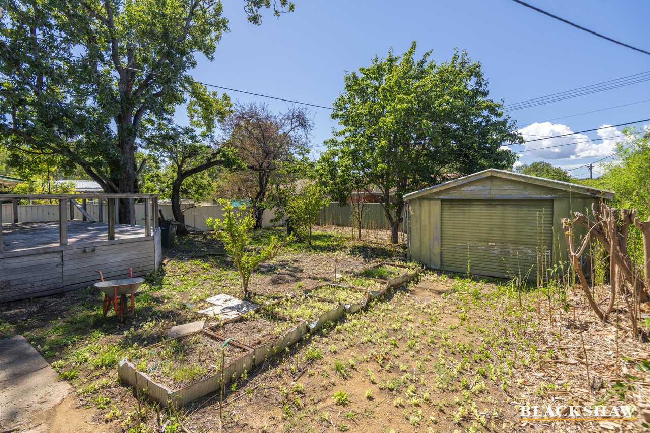 44 Mackennal Street Lyneham