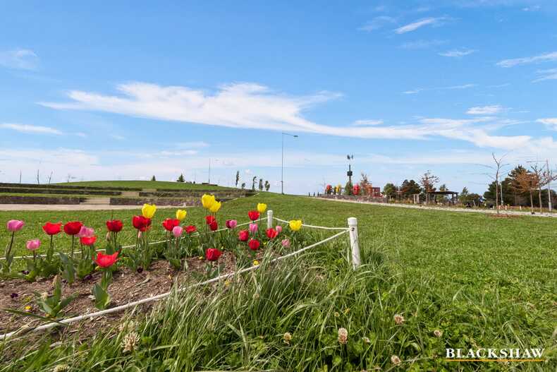 36/1 Skuta Place Denman Prospect 36/1 Skuta Place Denman Prospect