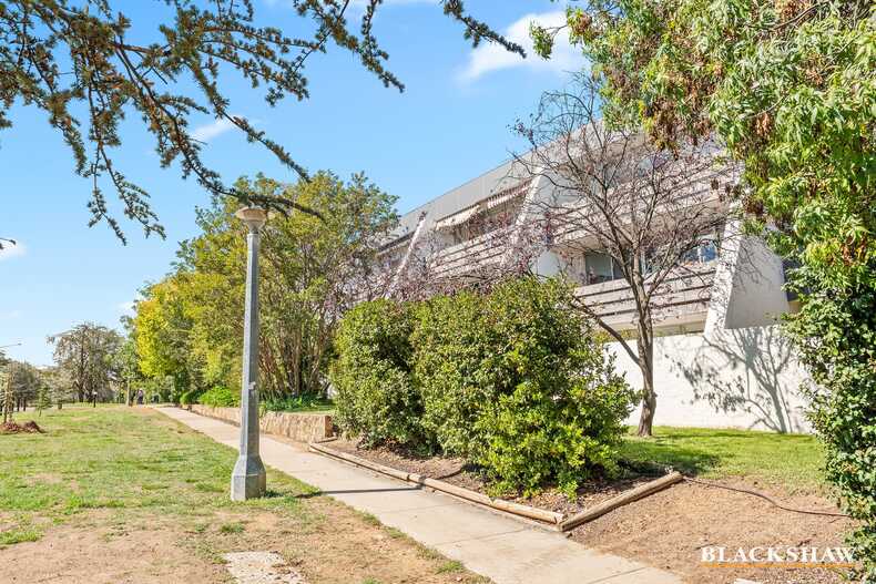 23/8 Giles Street Griffith