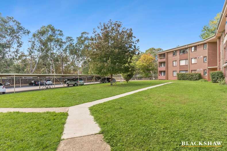 53C/58 Wattle Street Lyneham