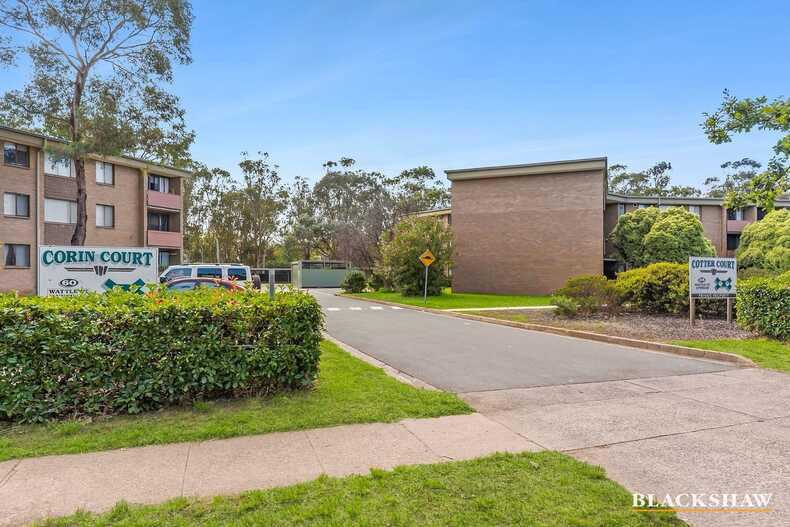 53C/58 Wattle Street Lyneham