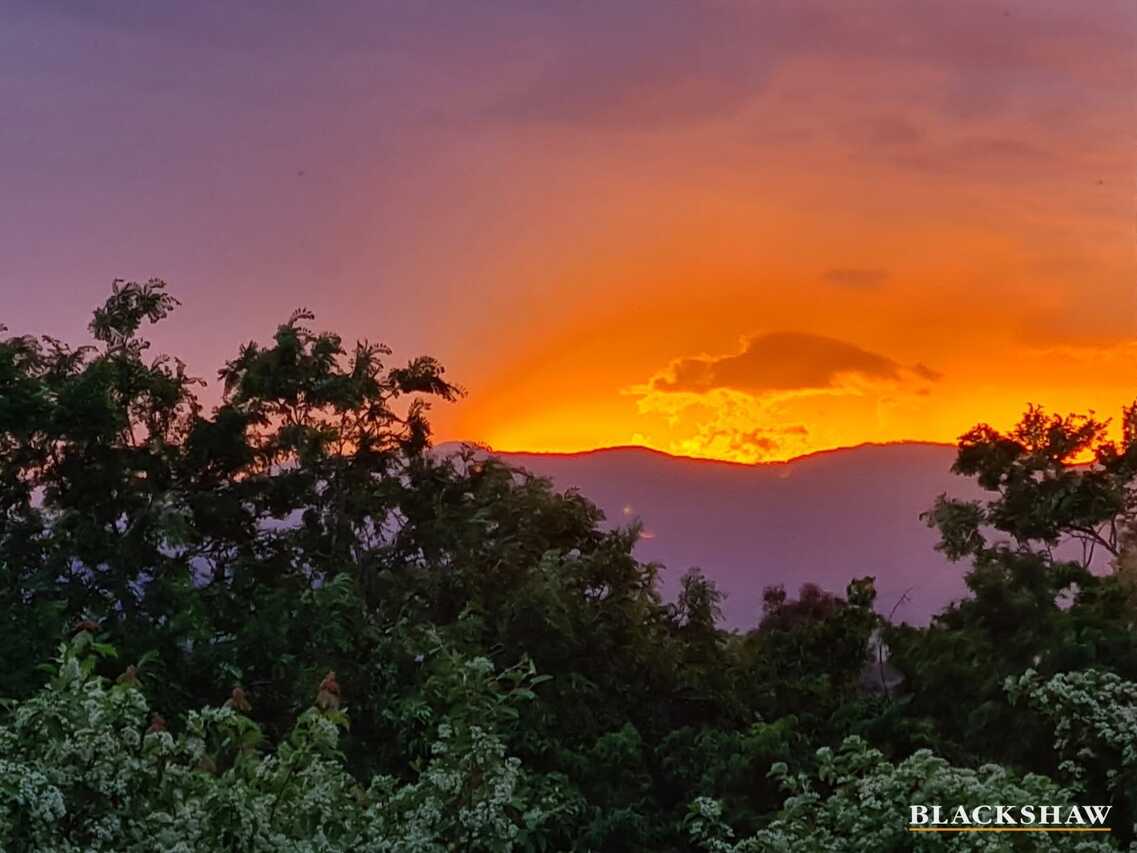 11 Rechner Place Flynn