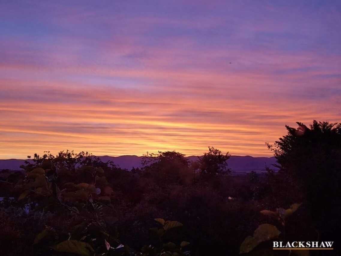 11 Rechner Place Flynn