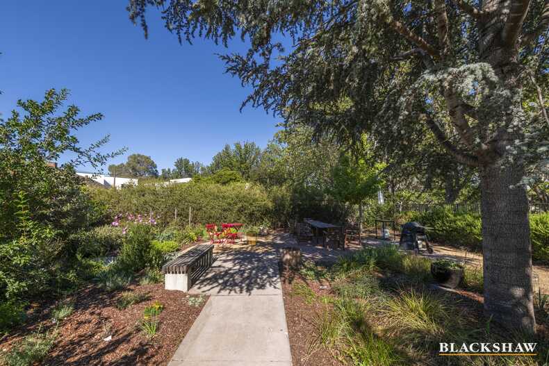 6/35 Berrigan Crescent O'Connor