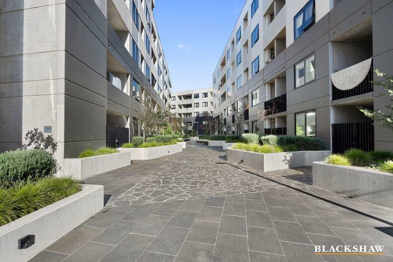 Level 2/213/34 Oakden Street Greenway