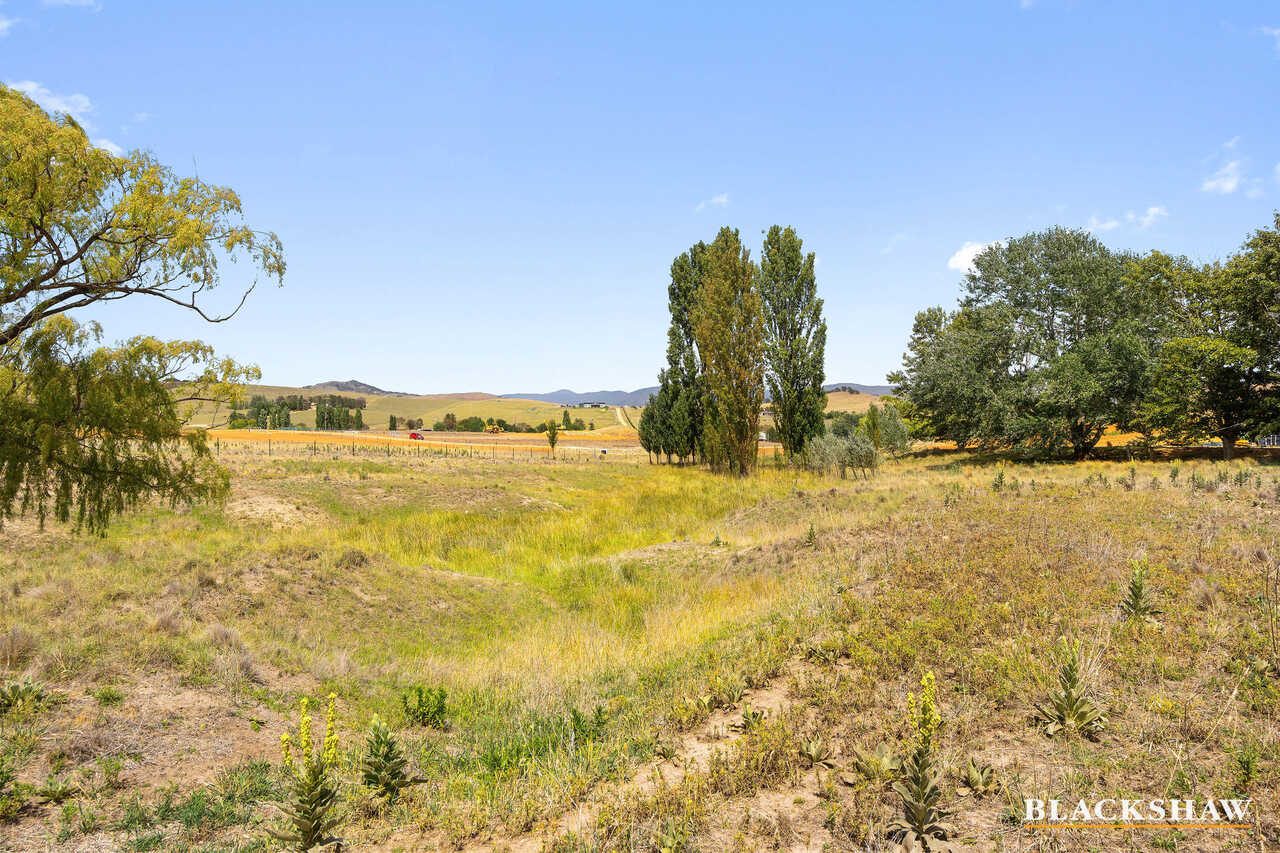 51 Speargrass Lane, Michelago, Michelago - Thumbnail 6