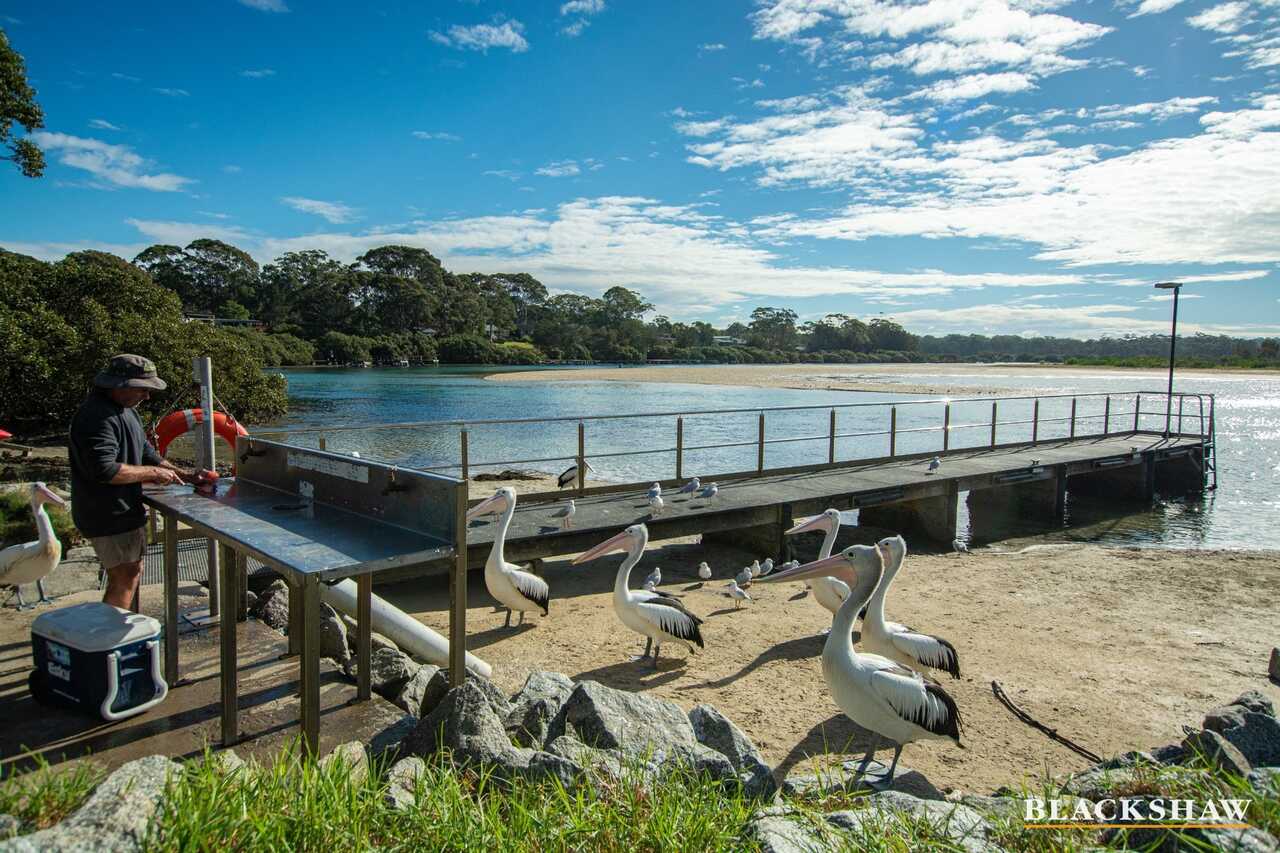 15 Pacific Street Broulee