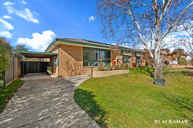 16 Rapanea Street Rivett