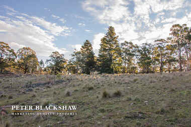 Lots 91-92 Sandy Flat Road Jerangle