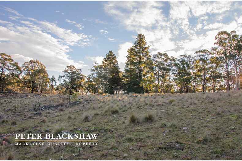 Lots 91-92 Sandy Flat Road Jerangle