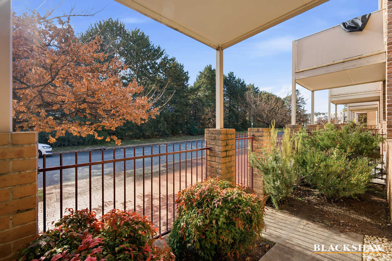 29 Cavanough Street Phillip