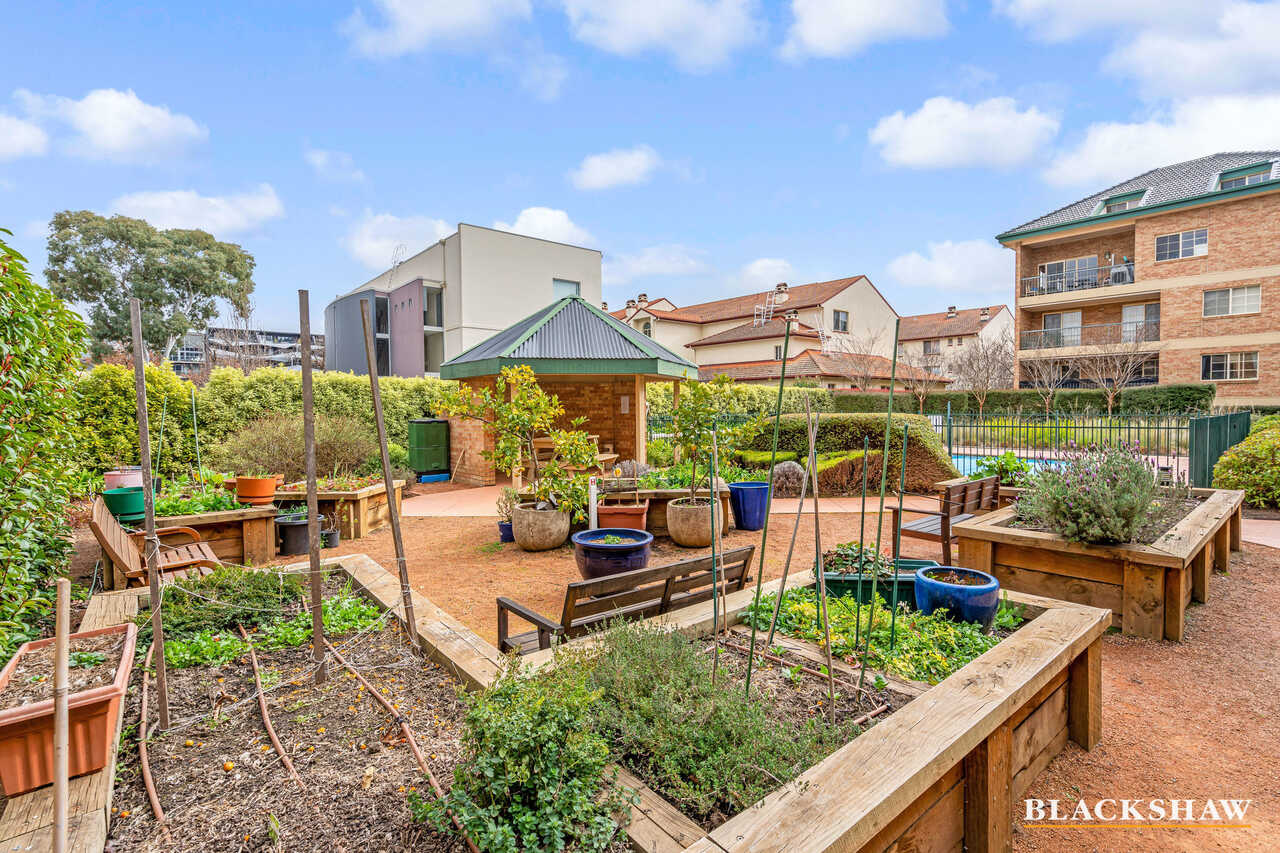 22/11 Fawkner Street Braddon