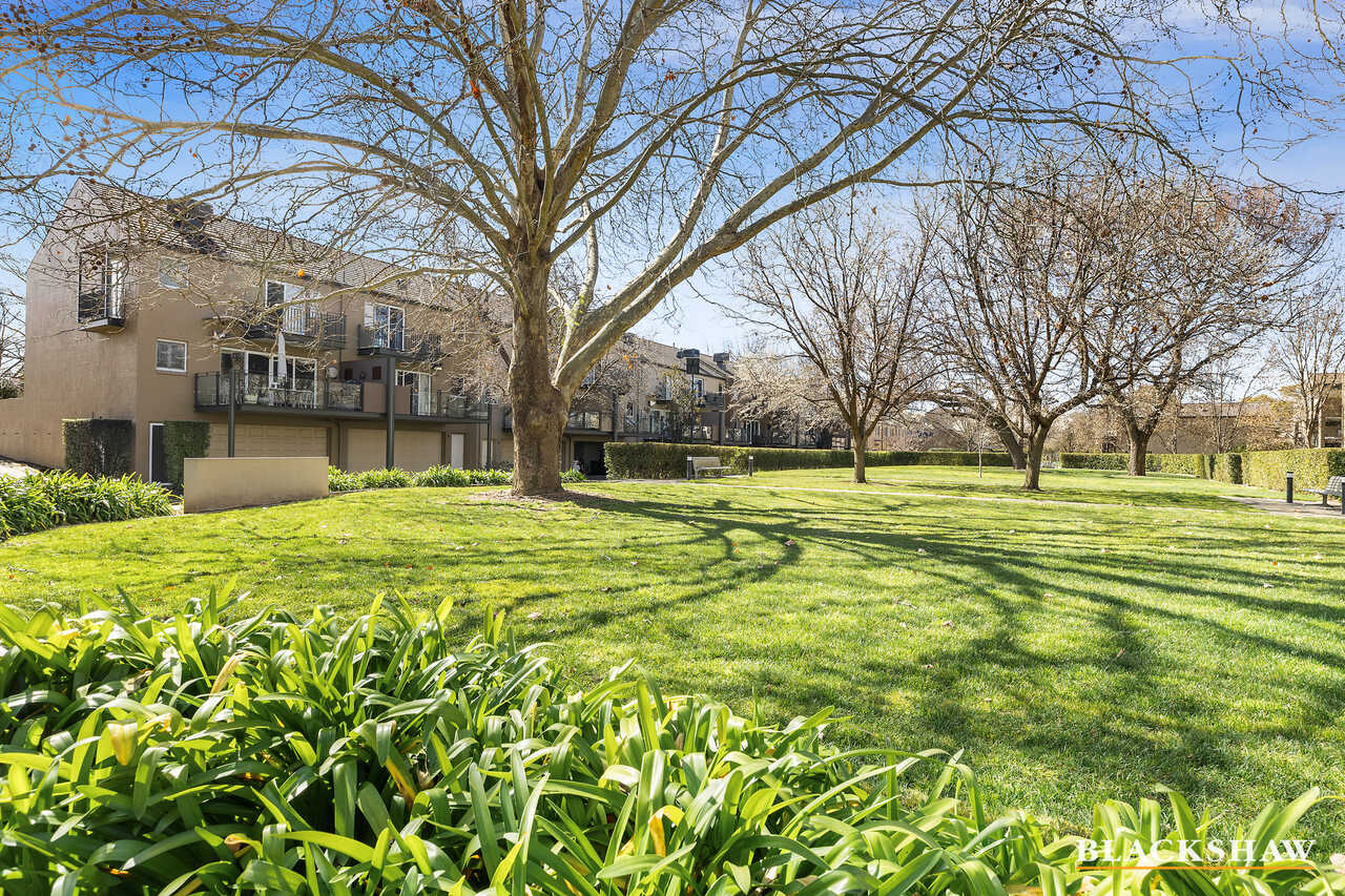 1/48 Moorhouse Street O'Connor