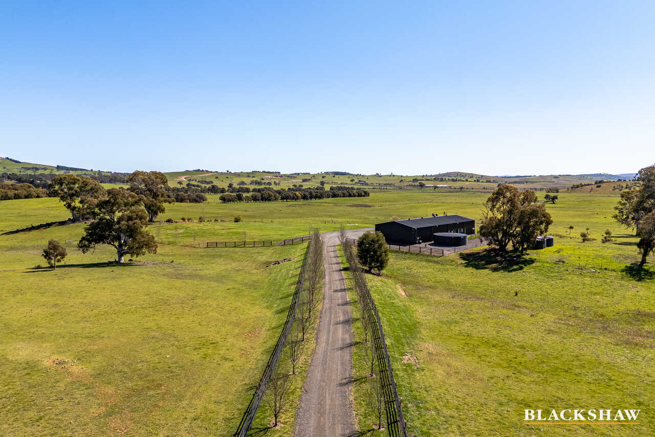 245 Allen Road Springrange
