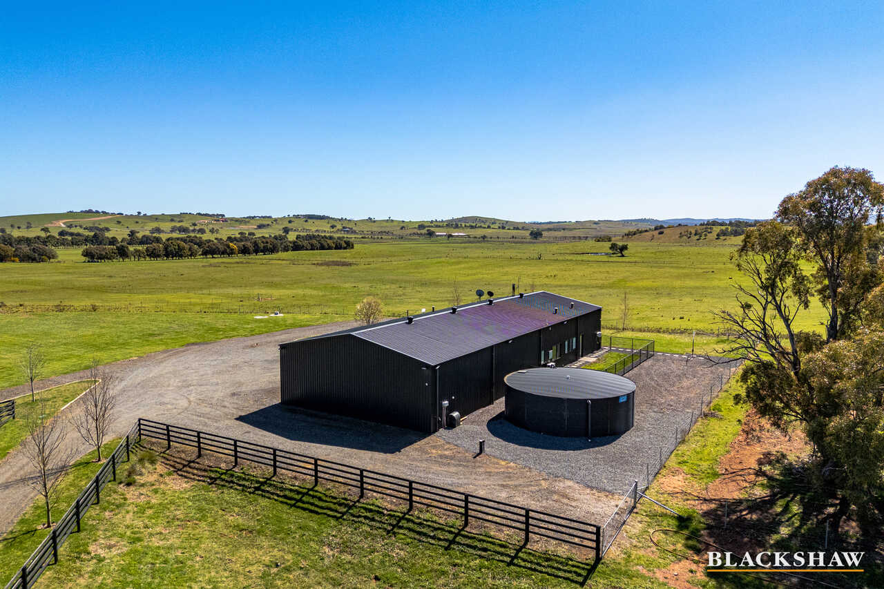 245 Allen Road Springrange