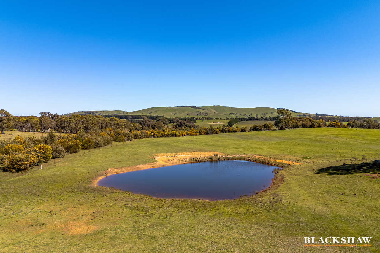 245 Allen Road Springrange