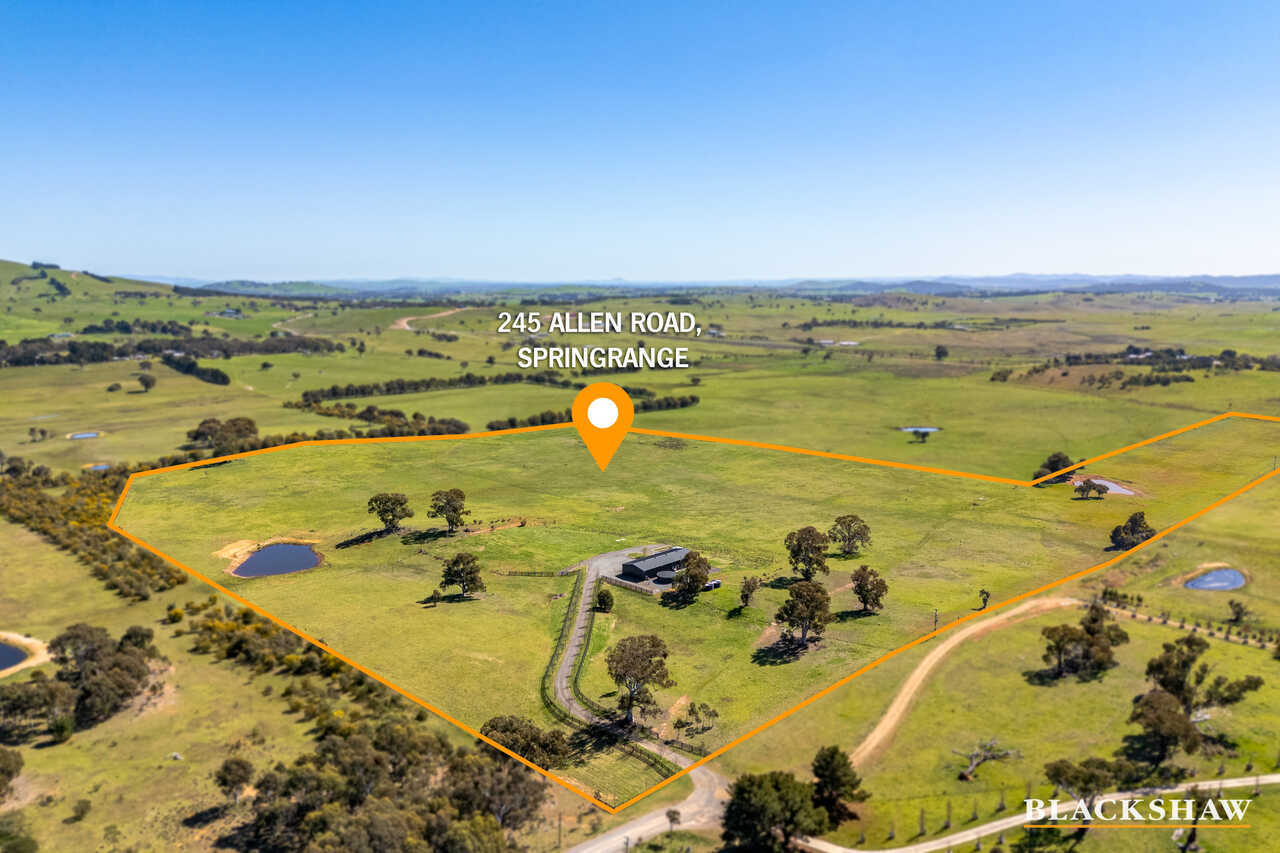245 Allen Road Springrange