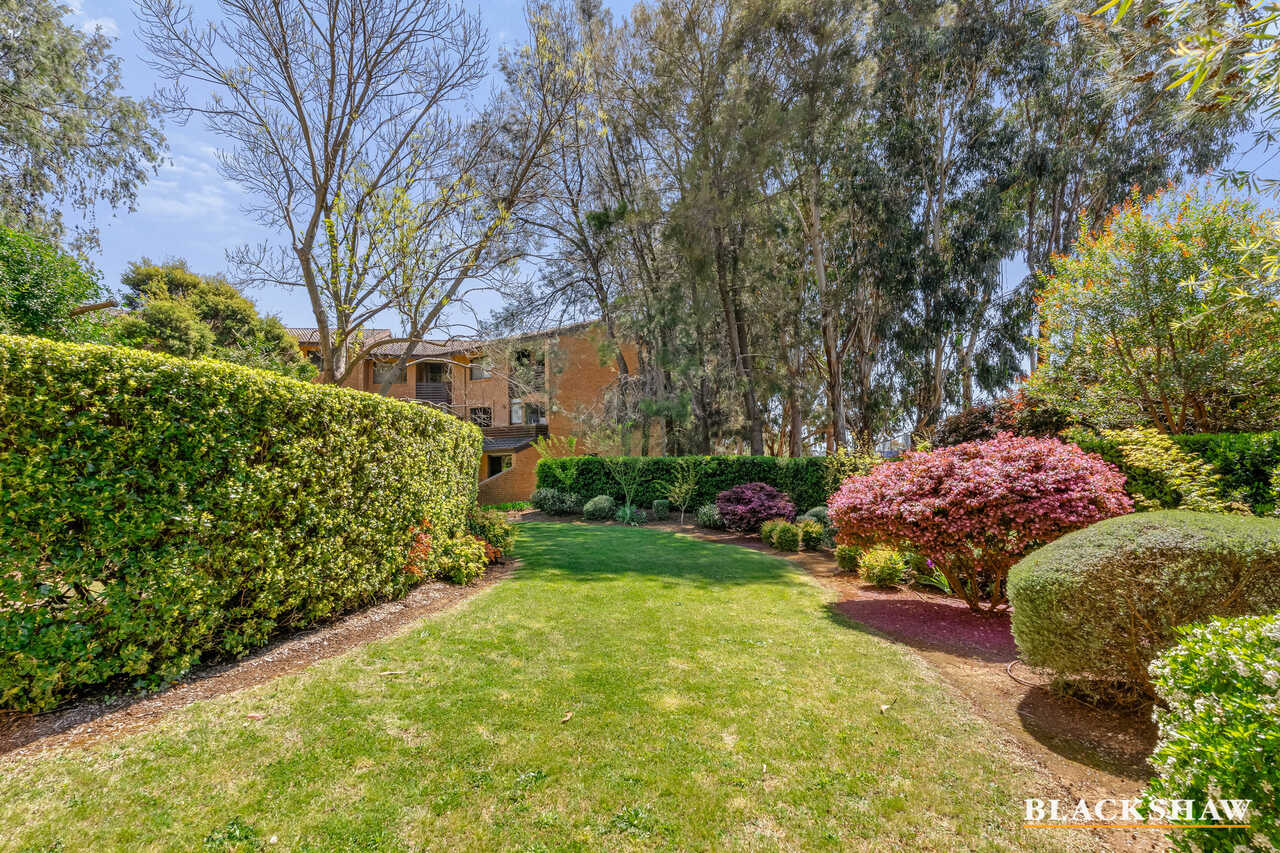 53/17 Medley Street Chifley