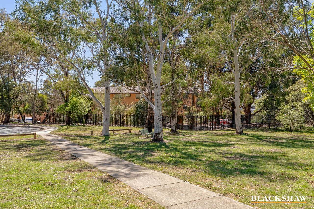 53/17 Medley Street Chifley