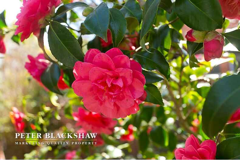 54A Ebden Street Ainslie 54A Ebden Street Ainslie