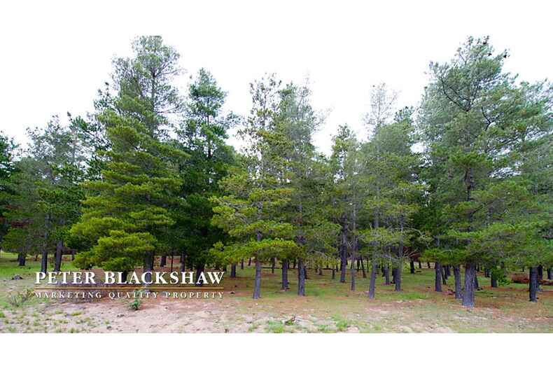 29 Rowntree Crescent Isaacs 29 Rowntree Crescent Isaacs