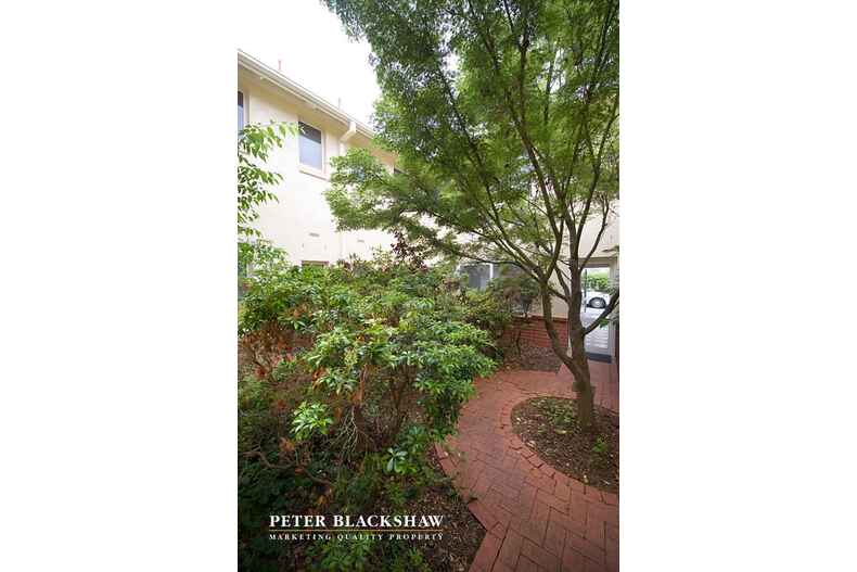 Manuka House 3/16 Bougainville Street Manuka Manuka House 3/16 Bougainville Street Manuka