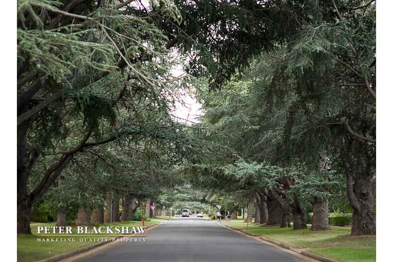 35 Euree Street Reid 35 Euree Street Reid