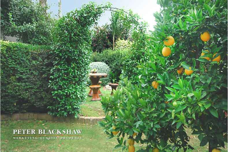 Lot 33/46 Pelsart Street Red Hill Lot 33/46 Pelsart Street Red Hill