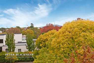 305/107 Canberra Avenue Griffith