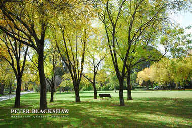 9 Geerilong Gardens Reid