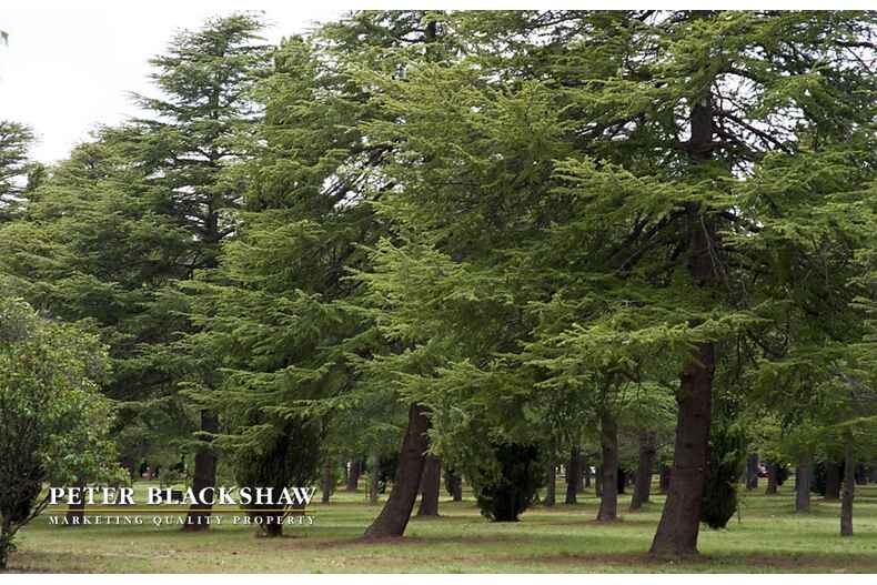 Lot 5/2/1 Wise Street Braddon Lot 5/2/1 Wise Street Braddon