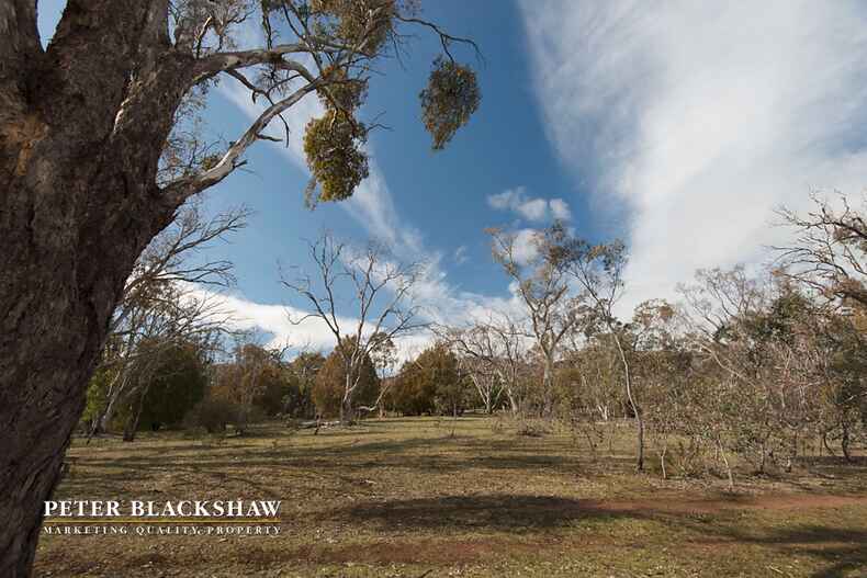 15 Whitmore Street Watson 15 Whitmore Street Watson