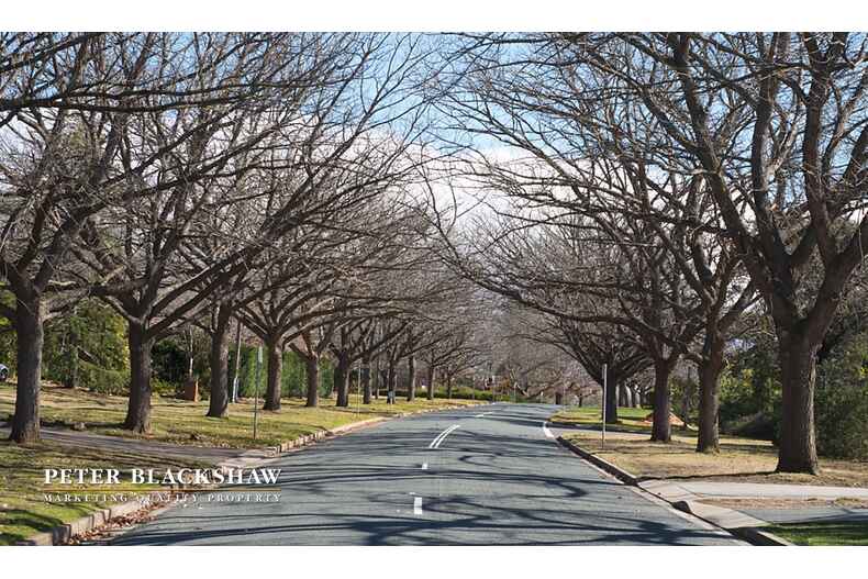 Lot 20/49 National Circuit Forrest Lot 20/49 National Circuit Forrest