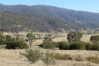 Lot 15/61  Downstream Road Bumbalong