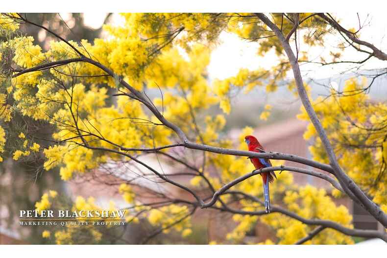 8 Eltham Place Theodore 8 Eltham Place Theodore