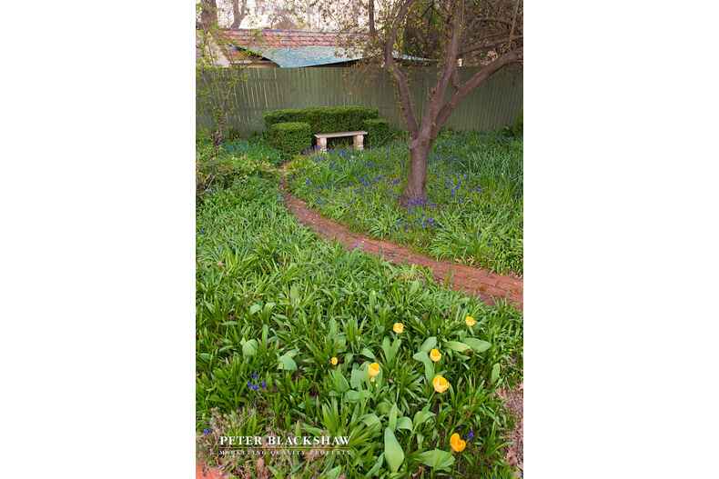 15 Bass Gardens Griffith 15 Bass Gardens Griffith