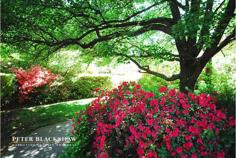 150/11 Giles Street Kingston 150/11 Giles Street Kingston