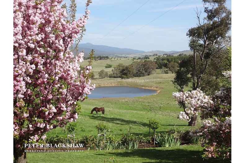Lot 1 /146 Moore Road Burra Lot 1 /146 Moore Road Burra