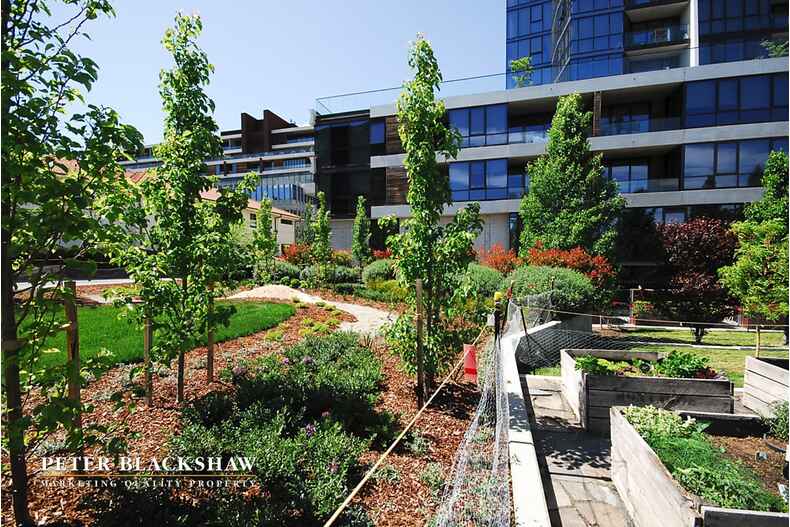 13/19 Marcus Clarke Street City 13/19 Marcus Clarke Street City