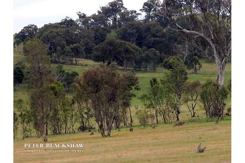 Lot 5/101 Henry Williams Street Bonner