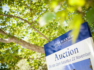 Auction Day - Our Experience Creates Your Experience Auction Day - Our Experience Creates Your Experience