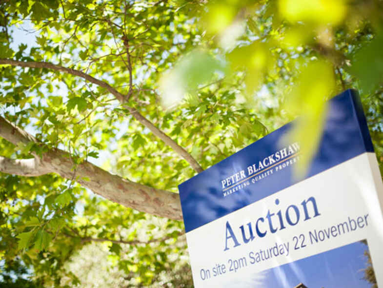 Auction Day - Our Experience Creates Your Experience Auction Day - Our Experience Creates Your Experience