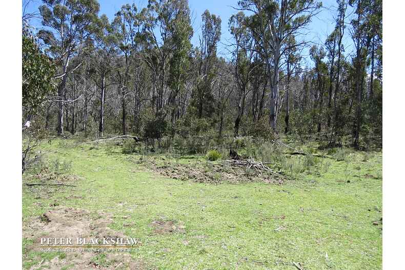 Lot 97 Tinderry Road Michelago Lot 97 Tinderry Road Michelago