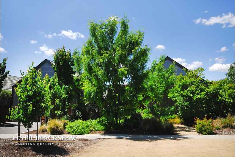 Lot 29/5 Jeanne Young Circuit Mckellar Lot 29/5 Jeanne Young Circuit Mckellar