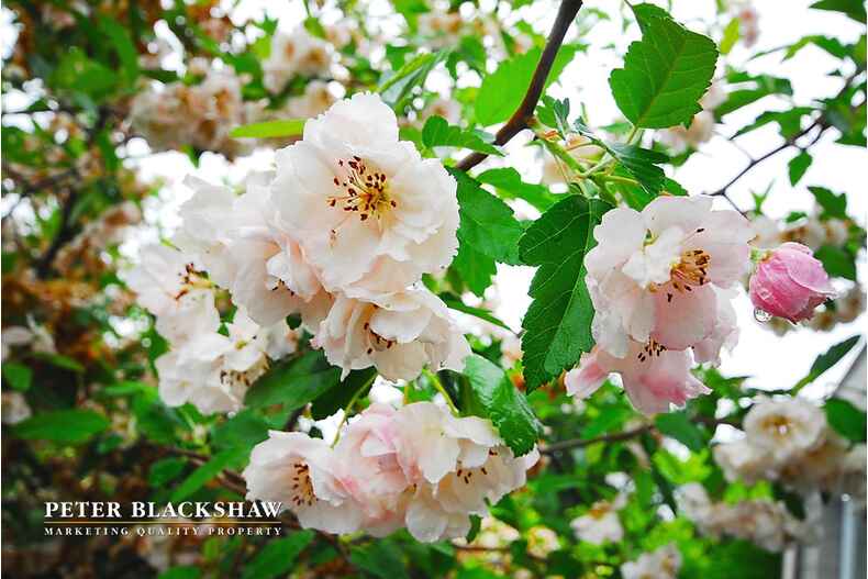 Lot 29/5 Jeanne Young Circuit Mckellar Lot 29/5 Jeanne Young Circuit Mckellar