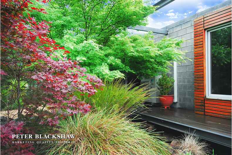 Lot 29/5 Jeanne Young Circuit Mckellar Lot 29/5 Jeanne Young Circuit Mckellar