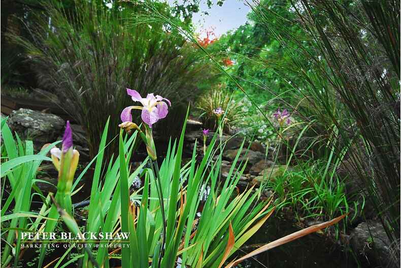 Lot 29/5 Jeanne Young Circuit Mckellar Lot 29/5 Jeanne Young Circuit Mckellar