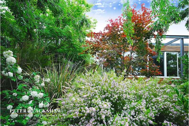 Lot 29/5 Jeanne Young Circuit Mckellar Lot 29/5 Jeanne Young Circuit Mckellar