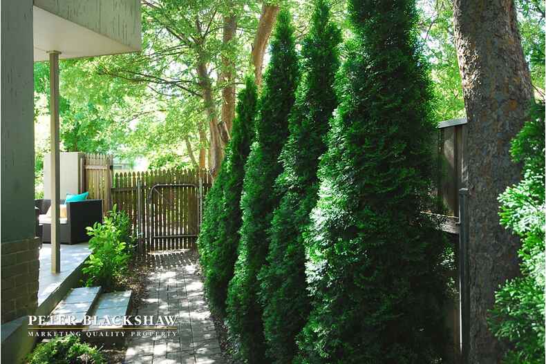 Lot 18/10/78 Torrens Street Braddon Lot 18/10/78 Torrens Street Braddon