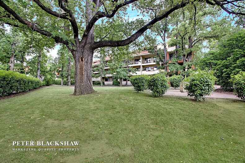 82/14 Boolee Street Reid 82/14 Boolee Street Reid